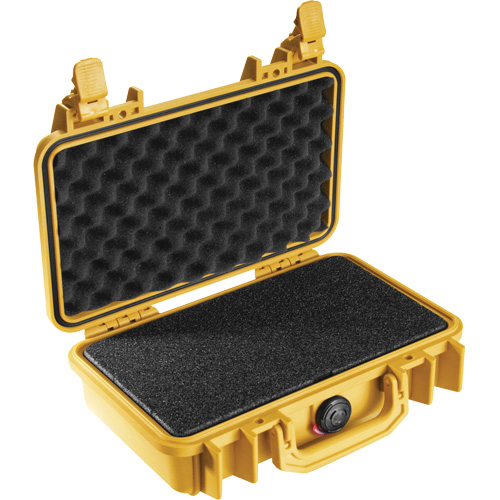 1170 Protector Case, Hard Case Pathway Supply LP