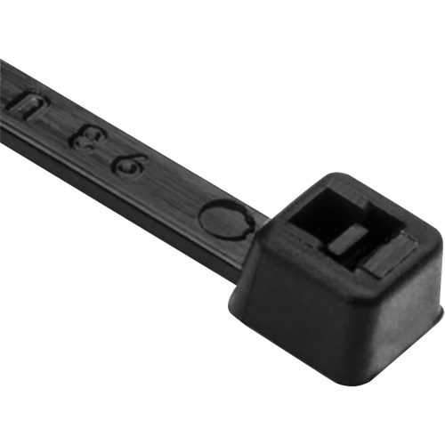 Attaches de c&acirc;ble PA66, Longueur 8", R&eacute;sistance &agrave; la traction 50 lb, Noir Pathway Supply LP