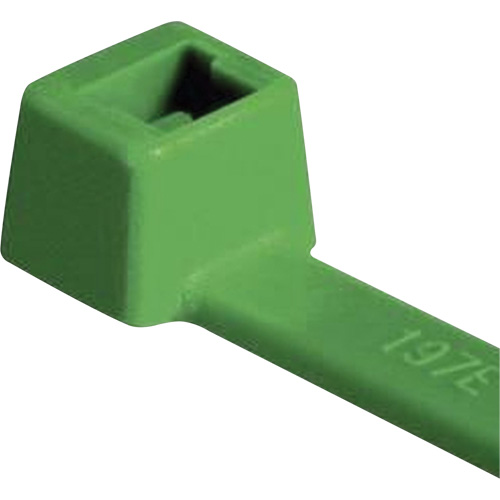 Attaches pour c&acirc;ble PA66 homologu&eacute;es UL, Longueur 4", R&eacute;sistance &agrave; la traction 18 lb, Vert Pathway Supply LP