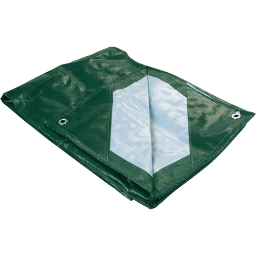 B&acirc;che, Robuste, Vert, 60' x 40' x 9 mils Pathway Supply LP