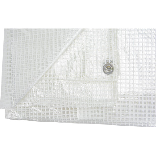 B&acirc;ches transparentes, 12' x 10' x 8 mils Pathway Supply LP