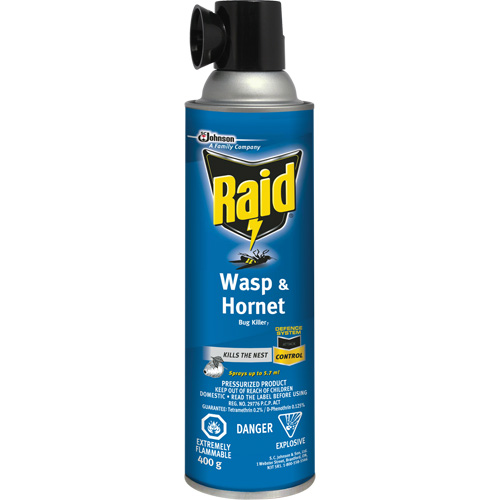 Raid&reg; Wasp & Hornet Bug Killer, 400 g, Solvent Base Pathway Supply LP