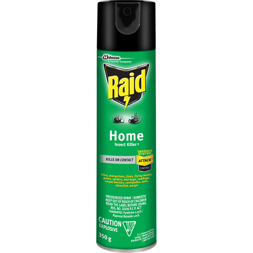 Raid&reg; Home Insect Killer, 350 g, Solvent Base Pathway Supply LP