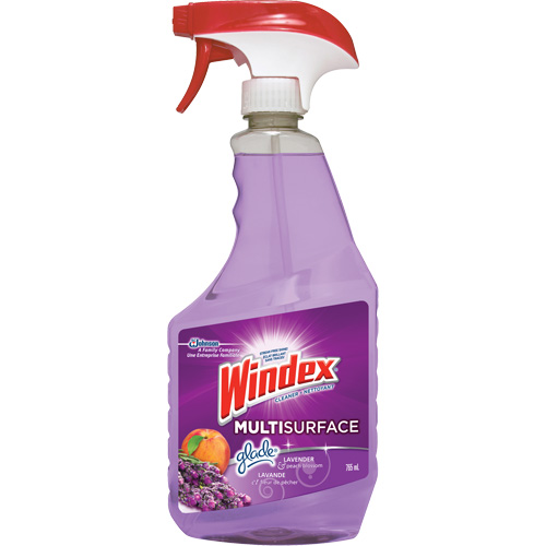 Nettoyant multi-surfaces de Windex, 765 ml, Bouteille &agrave; g&acirc;chette Pathway Supply LP