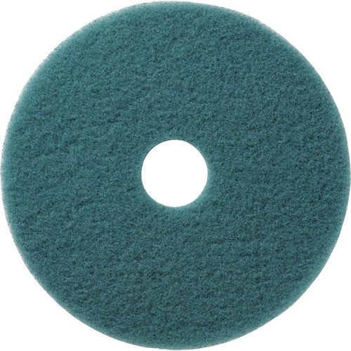 Tampons &agrave; polir pour planchers Aqua, 19", Brunissage, Aqua Pathway Supply LP