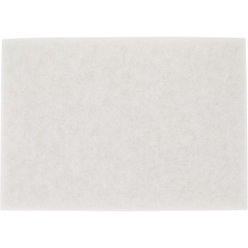 TopLine Speed Floor Pad, 14" x 20", Buffing/Cleaning/Polish, White Pathway Supply LP