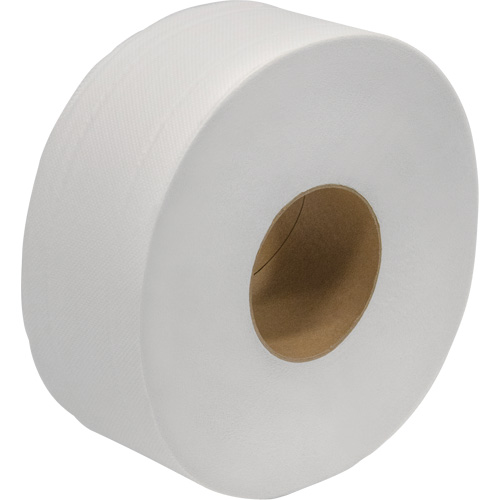 Papier hygi&eacute;nique Everest Pro JRT, Rouleau G&eacute;ant, 2 Pli, Longueur 600', Blanc Pathway Supply LP