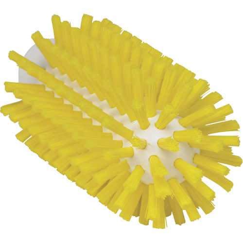 Brosse de 2,5", Soies Ferme, Longueur de 5-3/5", Jaune Pathway Supply LP