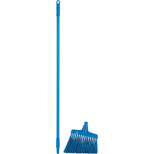 T&ecirc;te &agrave; balai en angle avec manche en m&eacute;tal, Crins Extra-ferme, 12", Polyester, Bleu Pathway Supply LP