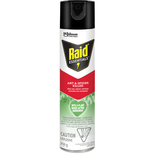 Raid&reg; Essentials Ant & Spider Killer, 350 g, Aerosol Can Pathway Supply LP