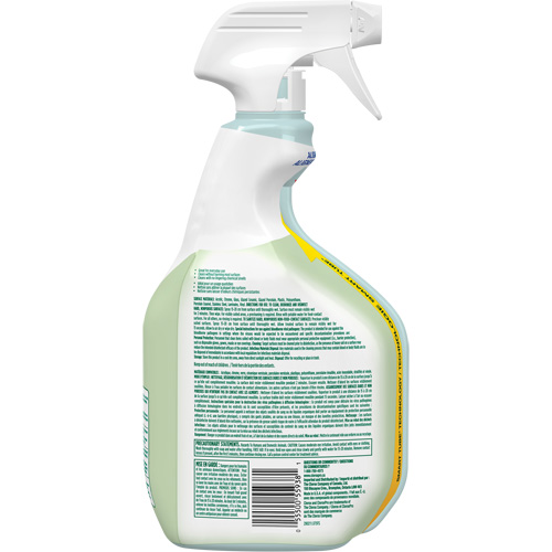 CloroxPro Clorox EcoClean Disinfecting Cleaner, 946 ml, Trigger Bottle Pathway Supply LP