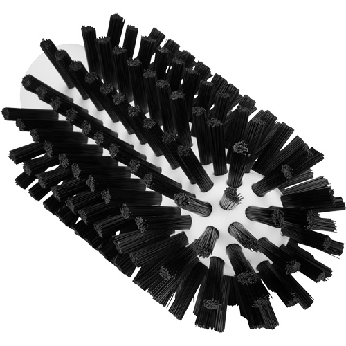 Brosse de nettoyage, Soies Ferme, Longueur de 5-7/10", Noir Pathway Supply LP