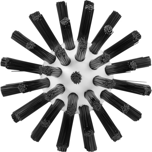 Brosse de nettoyage, Soies Ferme, Longueur de 5-7/10", Noir Pathway Supply LP