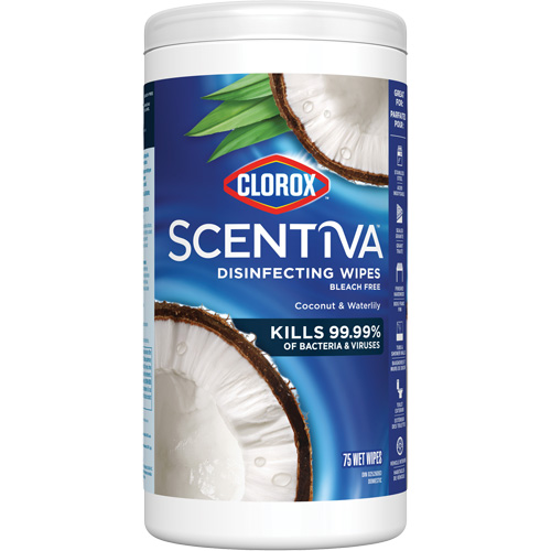 Disinfecting Wipes, 75 Count Pathway Supply LP