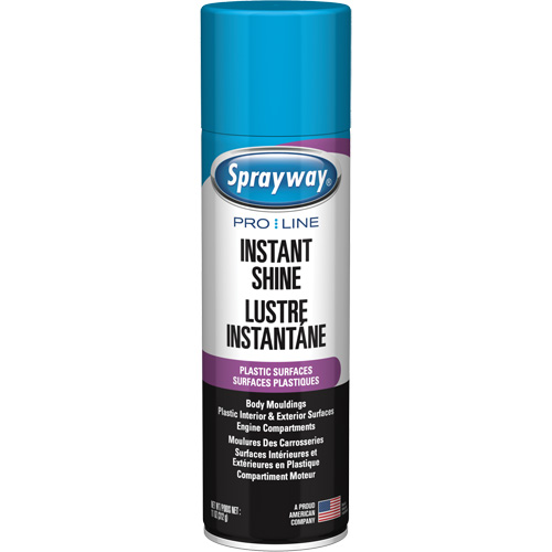 Pro Line Instant Shine for Plastic Surfaces, 11 oz., Aerosol Can Pathway Supply LP