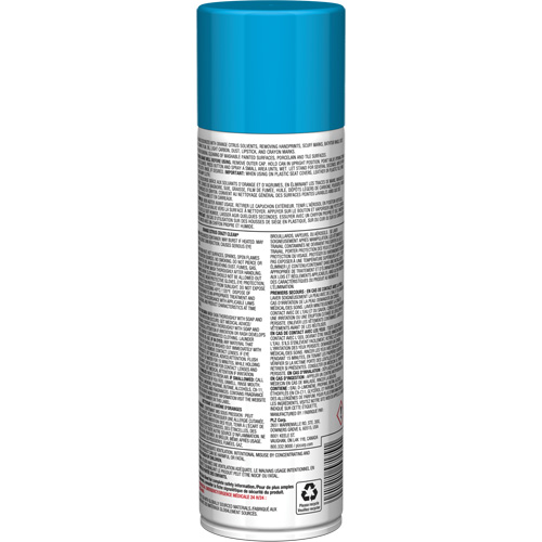Nettoyant tout usage Pro Line Crazy Clean, 19 oz., Canette a&eacute;rosol Pathway Supply LP