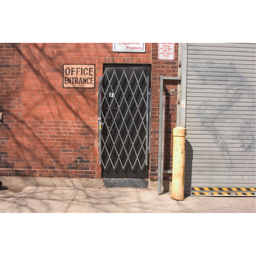 Heavy-Duty Door Gates, Single, 4' L x 6' 3" H Expanded Pathway Supply LP