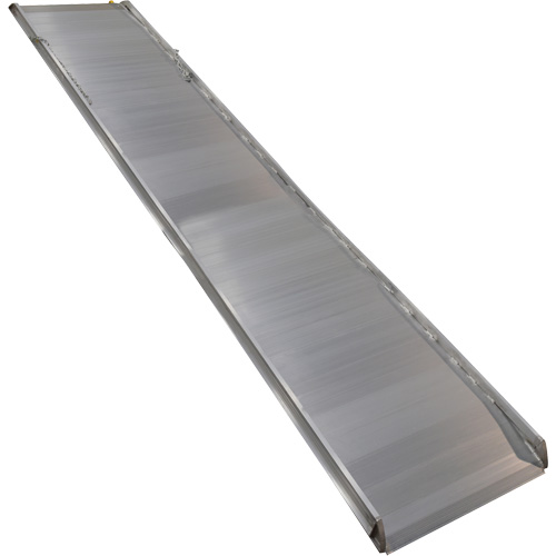 Rampe de promenade en aluminium, Capacit&eacute; de 1000 lb, 38" la x 193-1/8" lo Pathway Supply LP