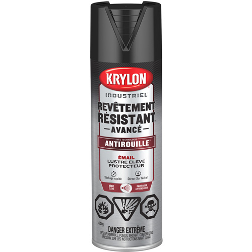 Peinture Tough Coat avec technologie Rust Barrier, Noir, Tr&egrave;s brillant, 425 g, Canette a&eacute;rosol Pathway Supply LP