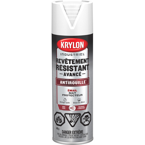 Tough Coat&reg; Advanced Paint with Rust Barrier Technology, White, Flat, 425 g, Aerosol Can Pathway Supply LP