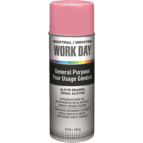 Peinture industrielle Work Day, Rose, Brillant, 10 oz, Canette a&eacute;rosol Pathway Supply LP
