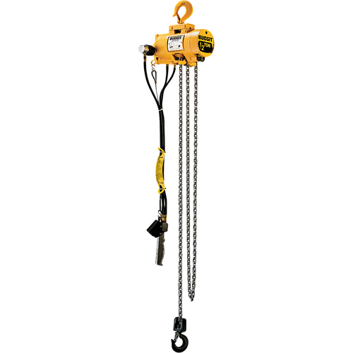 Budgit&reg; Air Chain Hoists Pathway Supply LP