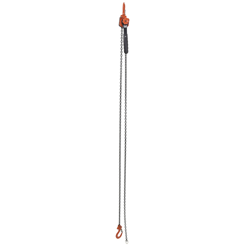 Mini palan &agrave; levier, Lev&eacute;e 10', Cabacit&eacute; 1000 lb (0,5 tonne), Chaîne en Acier Pathway Supply LP