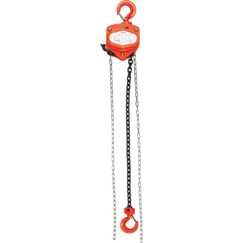 Chain Hoist, 20' Lift, 6000 lbs. (3 tons) Capacity, Alloy Steel Chain Pathway Supply LP