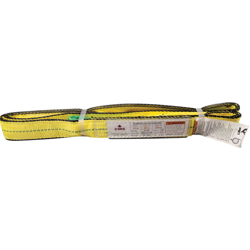 &eacute;lingue en sangle de polyester, Pli Double, Oeillets renvers&eacute;s, Type 4, 2" la x 8' lo, Capacit&eacute; verticale 6400 lb Pathway Supply LP
