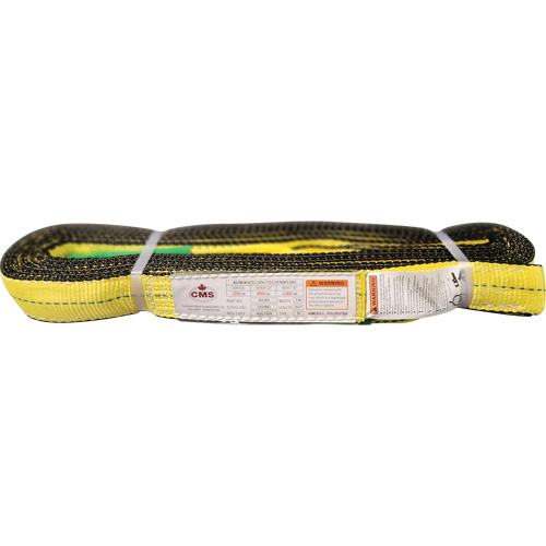 &eacute;lingue en sangle de polyester, Pli Double, Oeillets renvers&eacute;s, Type 4, 2" la x 20' lo, Capacit&eacute; verticale 6400 lb Pathway Supply LP