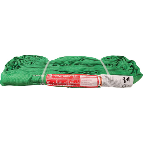 &eacute;lingue ronde en polyester, Vert, 12' lo, 6000 lb Charge verticale Pathway Supply LP