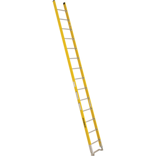Single Section Straight Ladder - 6100 Series, 14', Fibreglass, 375 lbs., CSA Grade 1AA Pathway Supply LP