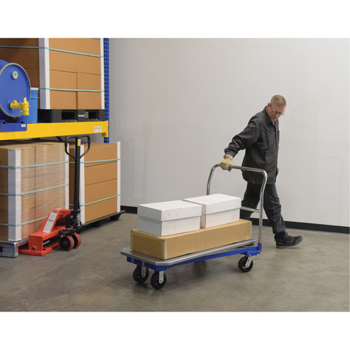 Platform Cart, 48" L x 24" W, 1500 lbs. Capacity, Mold-on Rubber Casters Pathway Supply LP
