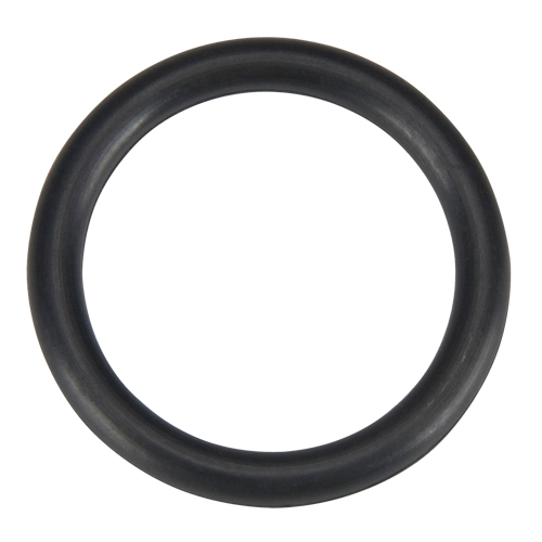 O Ring, Plain Pathway Supply LP