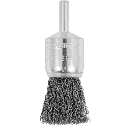 Shaft Mounted Crimped End Brush, 3/4", 0.012" Fill, 1/4" Shank Pathway Supply LP