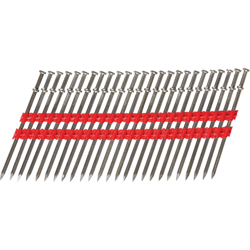 16D Collated Duplex Nails Pathway Supply LP