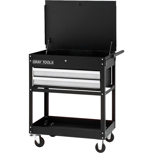 Utility Cart, 2 Drawers, 30-1/4" L x 19" W x 35-3/4" H, Black Pathway Supply LP