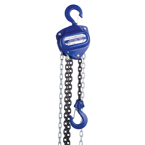 Chain Hoist, 10' Lift, 4000 lbs. (2 tons) Capacity, Load Chain Grade 80 Chain Pathway Supply LP