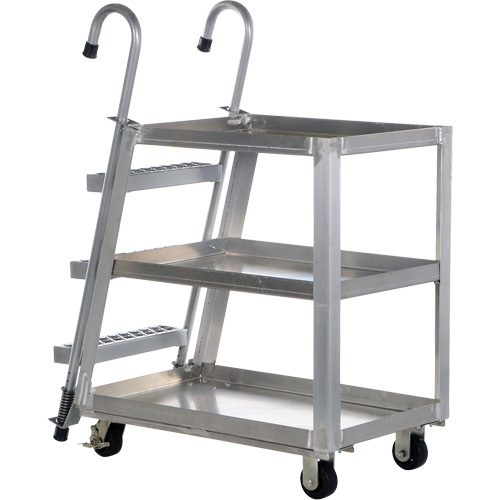 Stockpicker Truck, Aluminum, 21-7/8" W x 40" D, 3 Shelves, 660 lbs. Capacity Pathway Supply LP