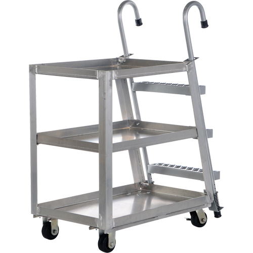 Stockpicker Truck, Aluminum, 21-7/8" W x 40" D, 3 Shelves, 660 lbs. Capacity Pathway Supply LP