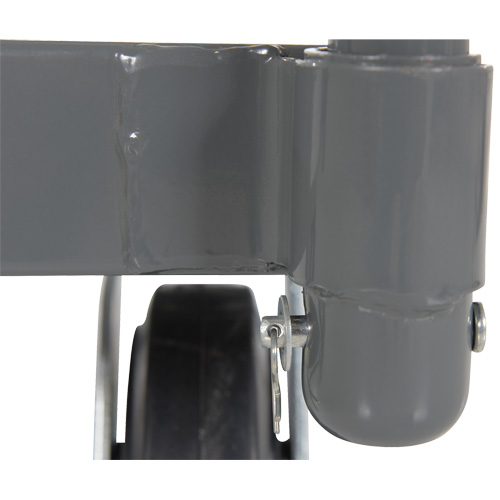 Chariot &agrave; plateforme, 48" lo x 24" la x Capacit&eacute; 2000 lb, Roues en Caoutchouc Pathway Supply LP