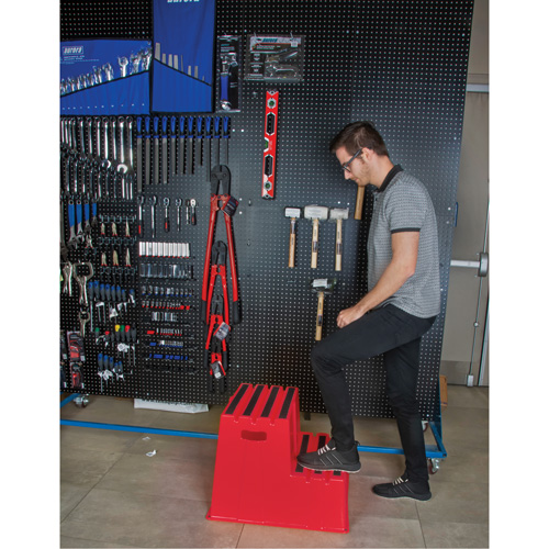 Industrial Step Stool, 2 Steps, 26" x 22-7/16" x 19-11/16" High Pathway Supply LP
