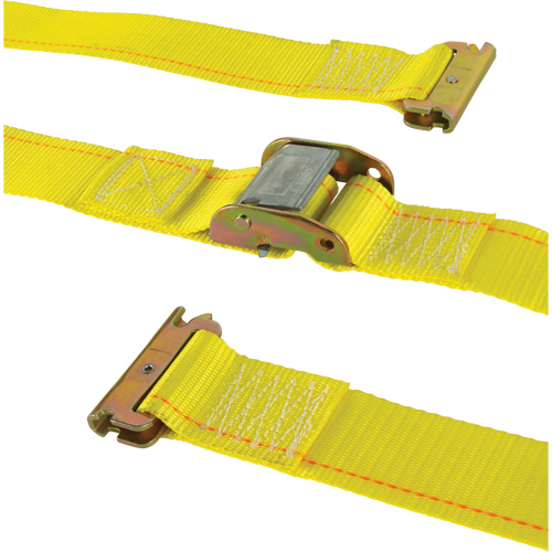 Heavy-Duty Utility Strap, Cam Buckle, 2" W x 12' L, 835 lbs. (379 kg) WLL Pathway Supply LP