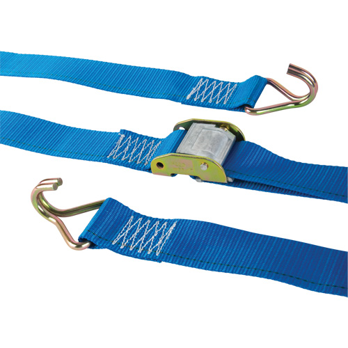 Logistic Strap, Cam Buckle, 2" W x 20' L, 500 lbs. (227 kg) WLL Pathway Supply LP