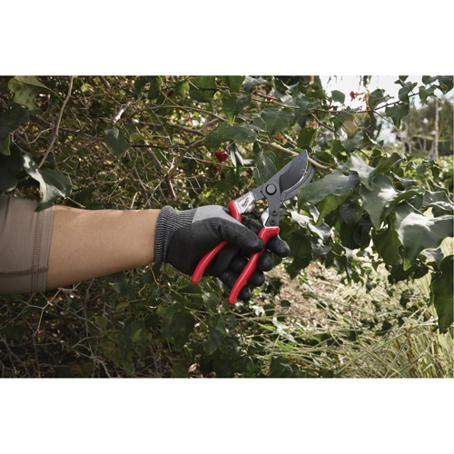 1” Angled Pruning Shears Pathway Supply LP