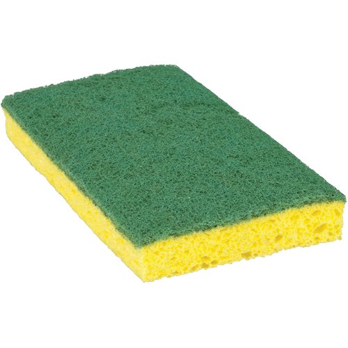Scotch-Brite Medium Duty Scrub Sponge, Scrubbing, 3-3/5" W x 6-1/10" L Pathway Supply LP