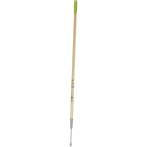 Dandelion Weeder Pathway Supply LP