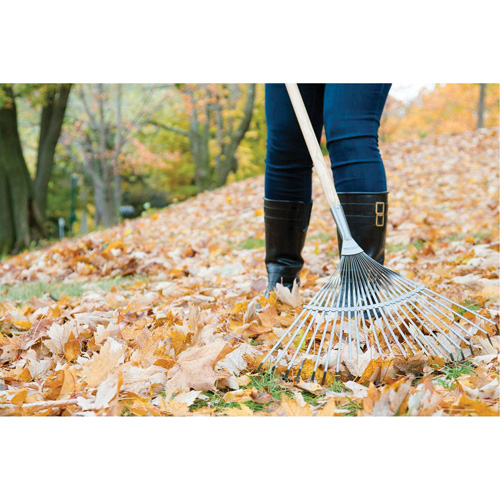 Pro Fan Rake, 24" Blade, 22 Tines, Hardwood Handle, Steel Blade Pathway Supply LP