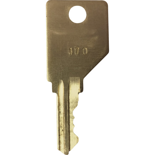 Replacement Key for Frost Smoking Receptacles Pathway Supply LP