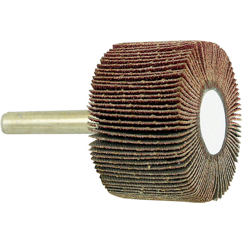 Disque &agrave; lamelles mont&eacute; sur mandrin, Grain 80, 1-1/2" x 1" x 1/4" Pathway Supply LP